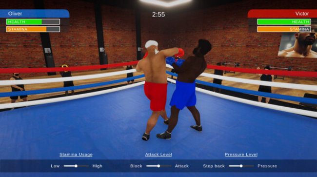 Boxing Simulator